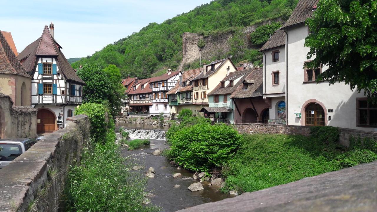 Gîtes individuels à Kaysersberg Kaysersberg-Vignoble Exterior foto